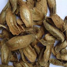 中药材牛蒡根功效详解