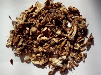 中药白头翁的功效与作用详解