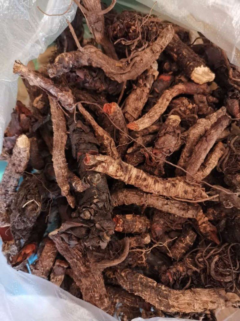 三好中药材供应 优质岩白菜的行业标杆